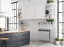 Биметаллический радиатор отопления Royal Thermo BiLiner 500 VR 10 секций Silver Satin